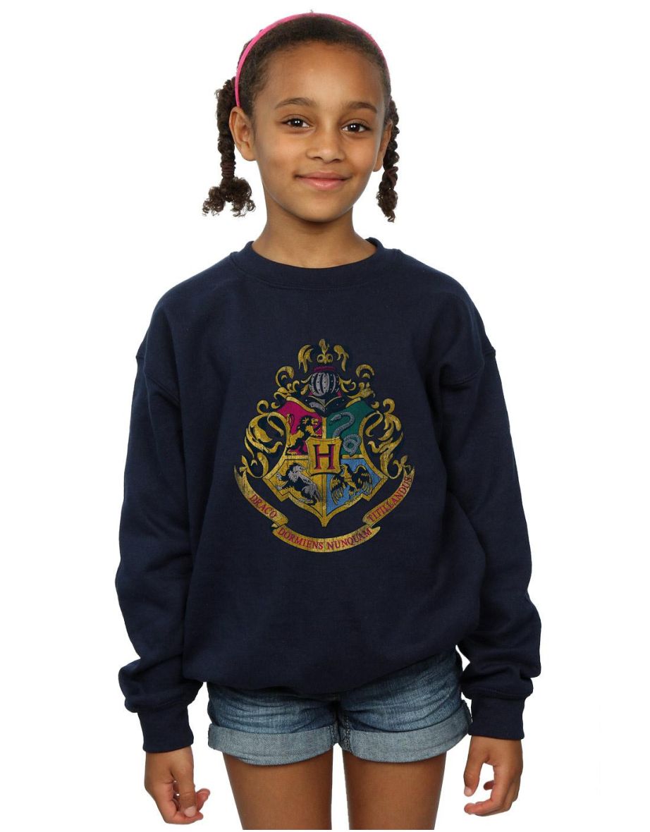 Harry Potter Girls Hogwarts Houses Cotton Sweatshirt - Navy Blue - 3