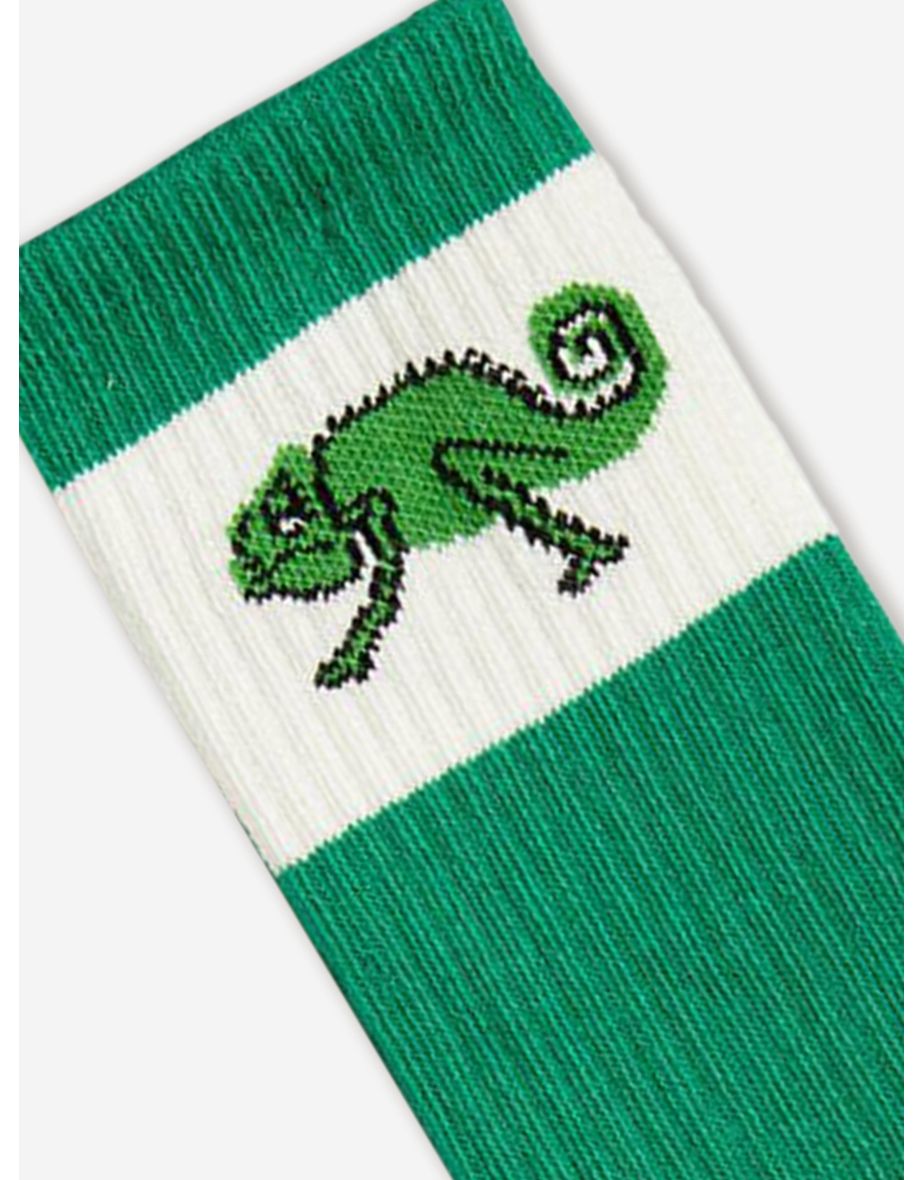 Boys Lizard Socks in Green - 3