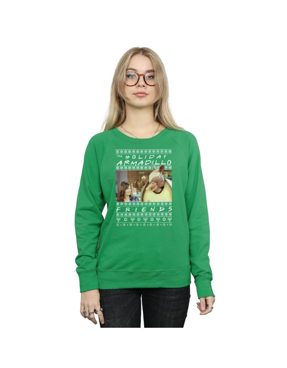 Holiday sale armadillo sweatshirt