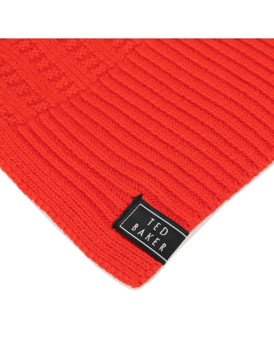 Accessories Ted Baker Varsf Knitted Scarf in Red - 3
