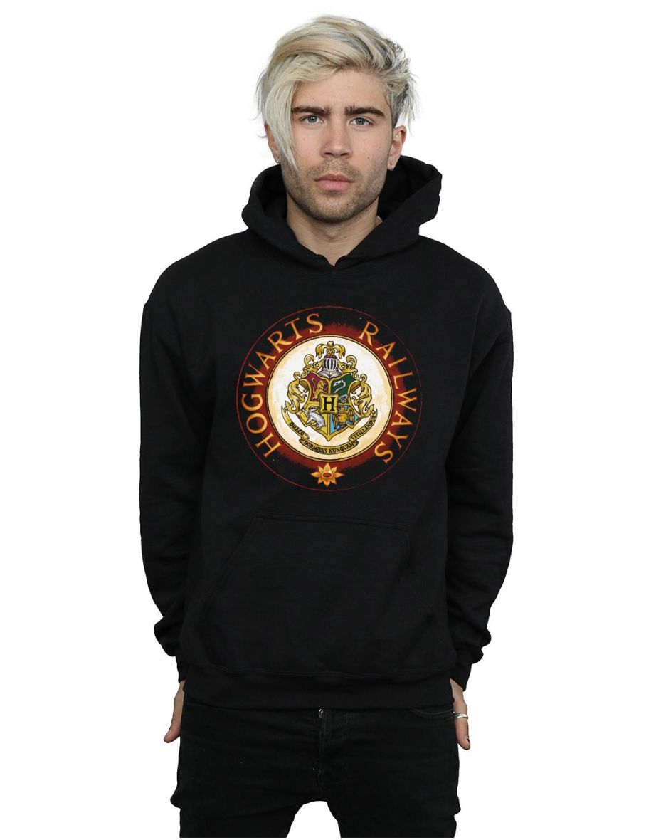 Champion outlr Harry Potter Hogwarts Hoodie