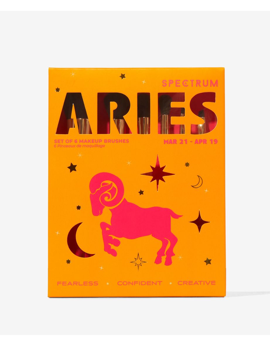 Aries 6 Piece Brush Set