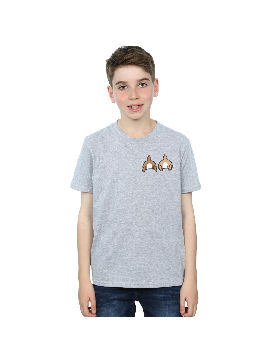 Disney Boys Chip N Dale Backside Breast Print T-Shirt - Sports Grey