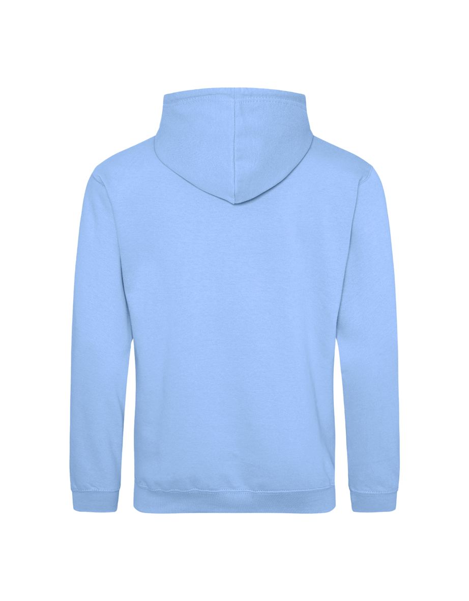 Awdis Unisex Adult College Hoodie - Blue Bottle