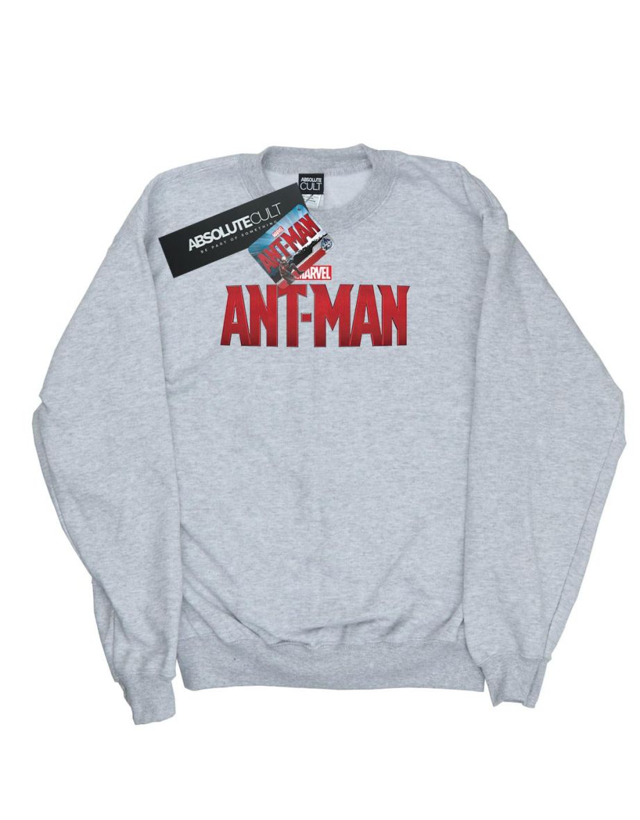Marvel Boys Ant-Man Movie Logo Sweatshirt - Sports Grey - 3