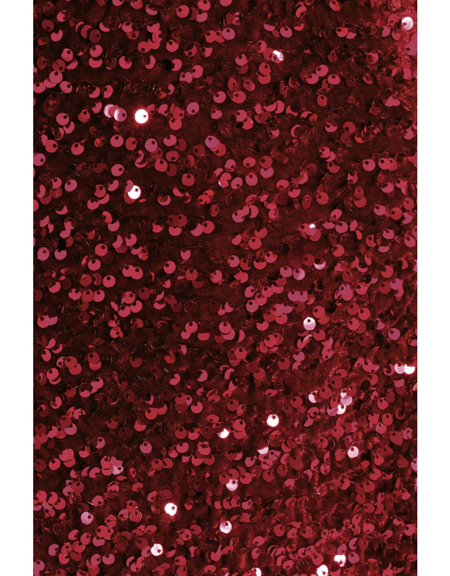 Curve Dark Red Sequin Maxi Dress - 5