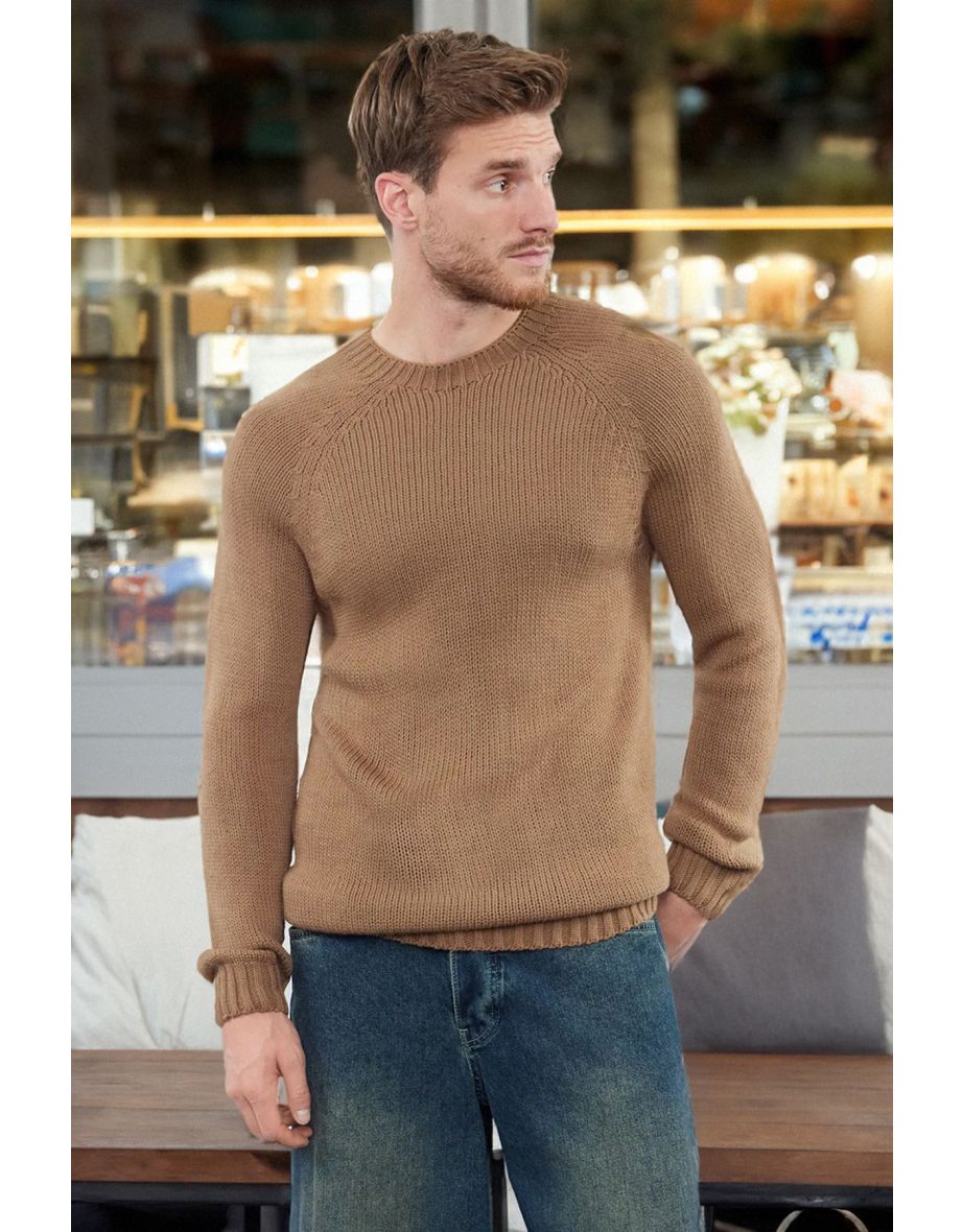 Men's Mink Slim Fit Crew Neck Raglan Sleeve Seamless Basic Knitwear Sweater