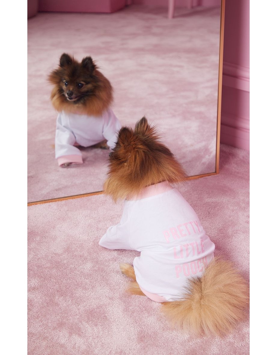 Buy Pet Apparel Prettylittlething in Qatar VogaCloset