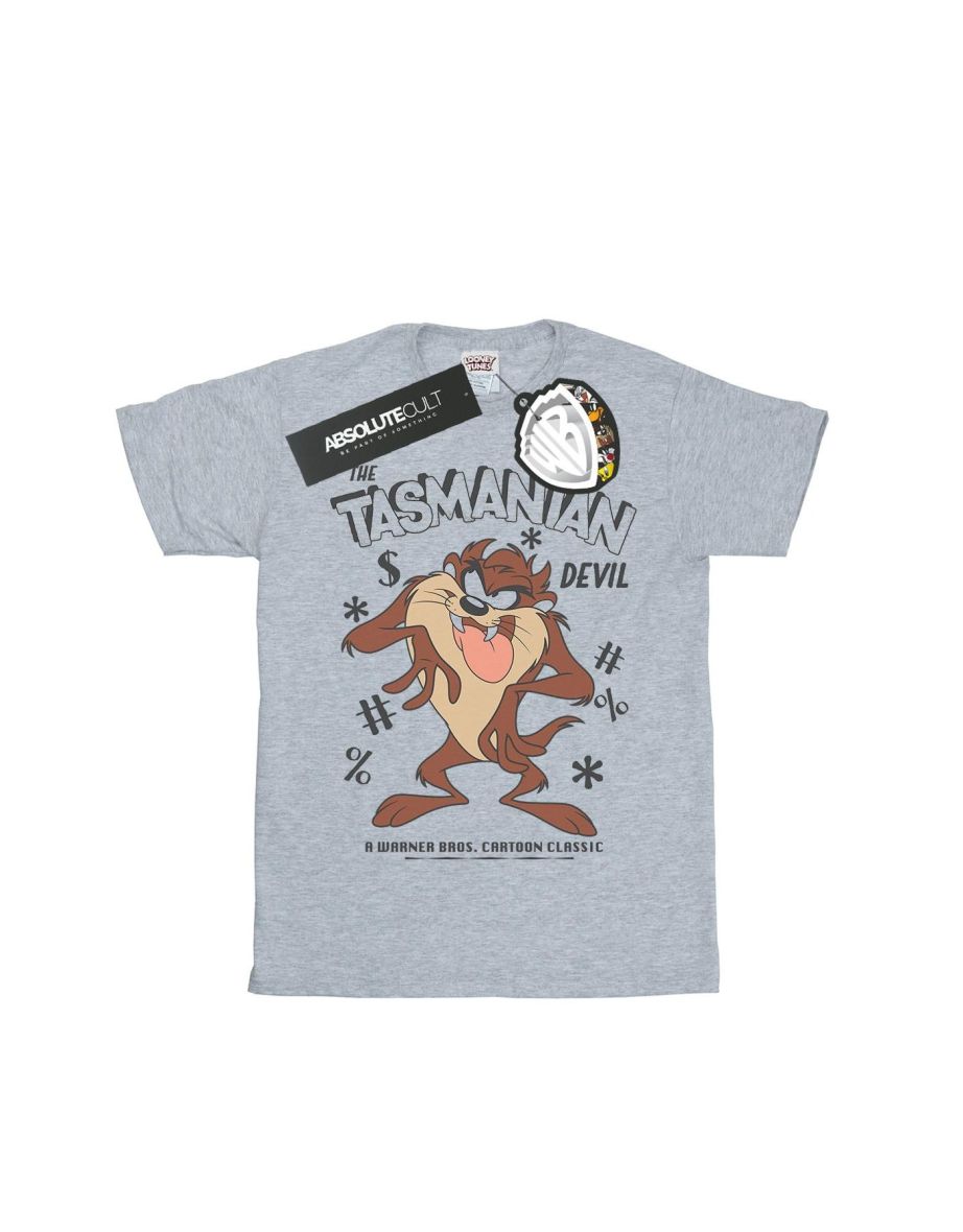 Looney Tunes Womens/Ladies Tasmanian Devil Vintage Cotton Boyfriend T-Shirt - Sports Grey