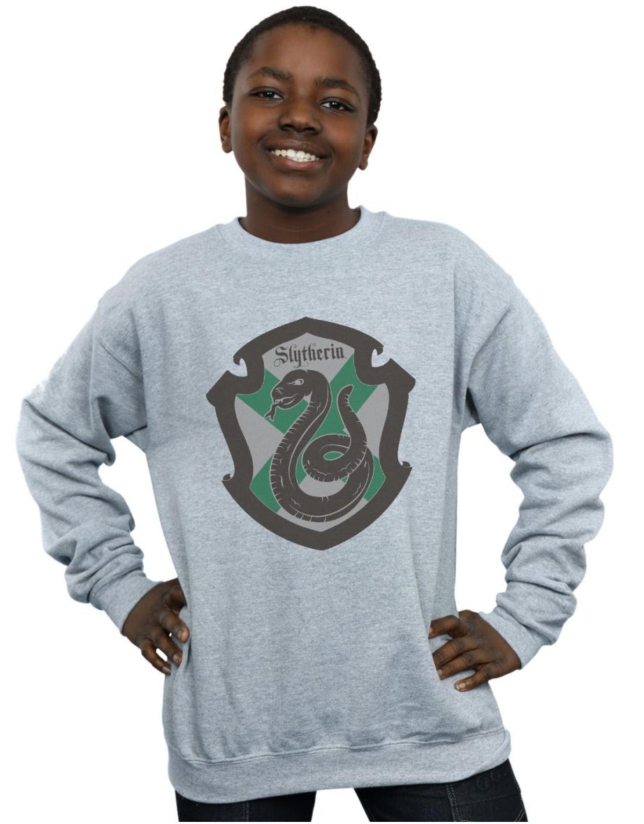 Shop Harry Potter Boys Slytherin Crest Flat Sweatshirt Sports Grey Online in Bahrain VogaCloset