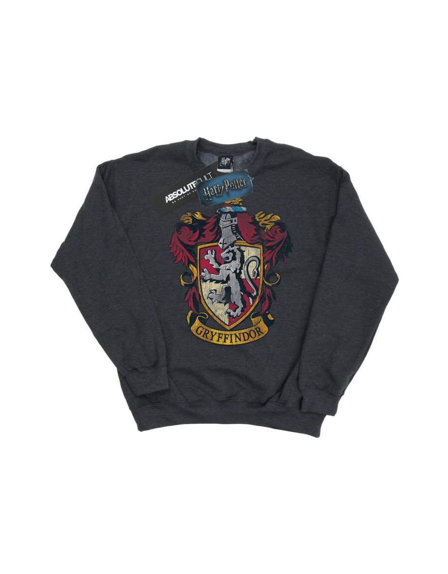 Shop Harry Potter Boys Gryffindor Sweatshirt Dark Heather Online in Iraq VogaCloset