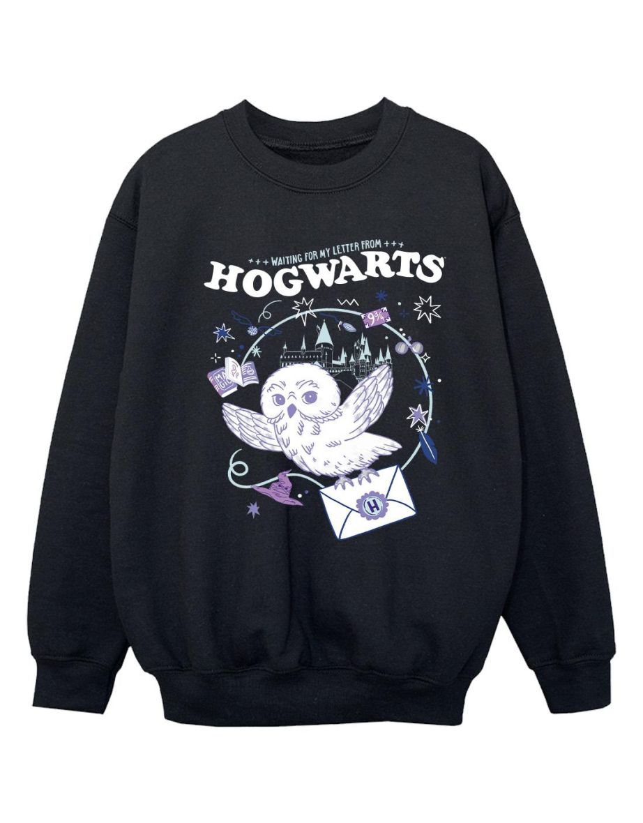 Hogwarts sweatshirt cheap