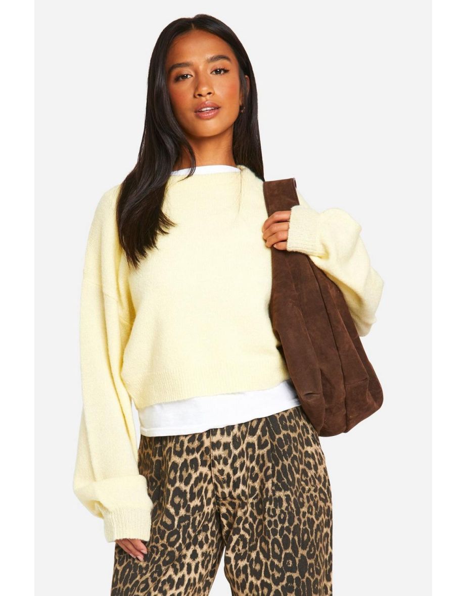 Petite Soft Knit Crew Neck Crop Jumper