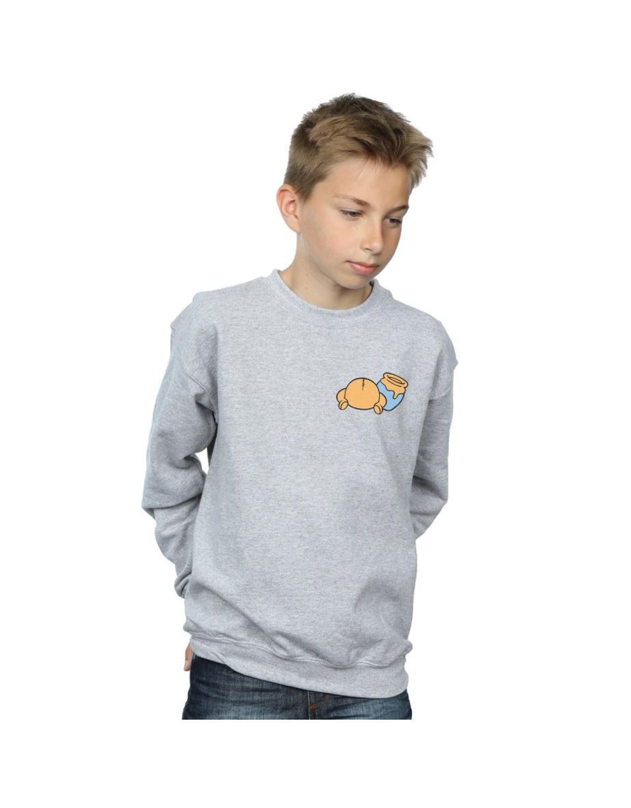 Disney Boys Winnie The Pooh Backside Breast Print Sweatshirt - Sports Grey