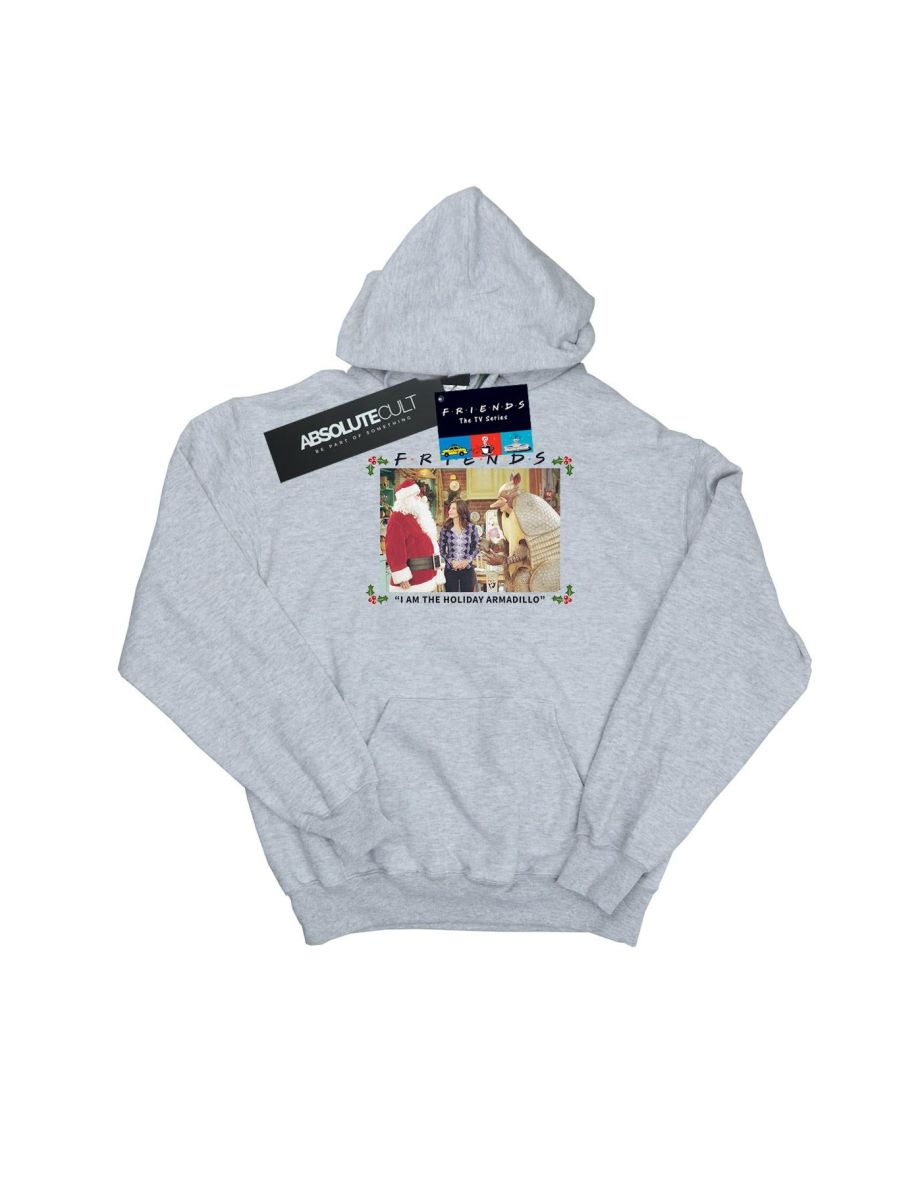 Friends Boys I Am The Holiday Armadillo Hoodie - Sports Grey