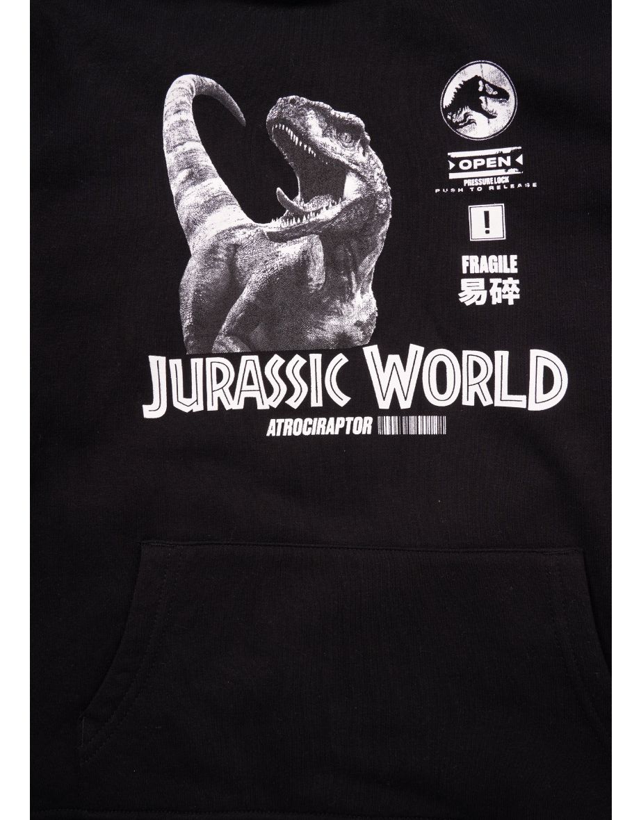 Jurassic Park Hoodie - 4