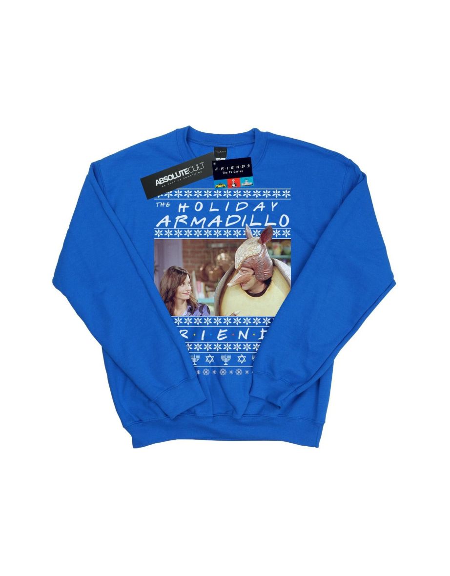 Friends Boys Fair Isle Holiday Armadillo Sweatshirt - Royal Blue