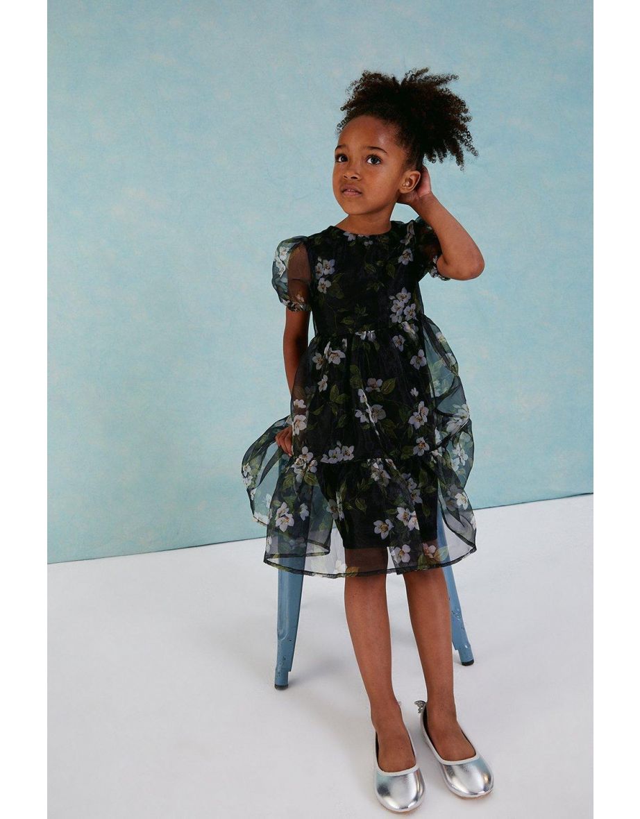 Girls Organza Tiered Dress
