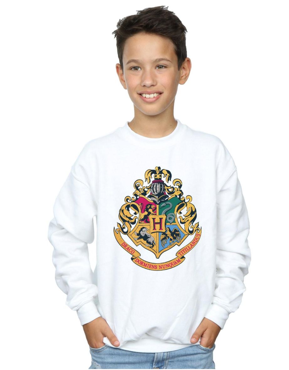 Harry Potter Boys Hogwarts Crest Gold Ink Sweatshirt - White