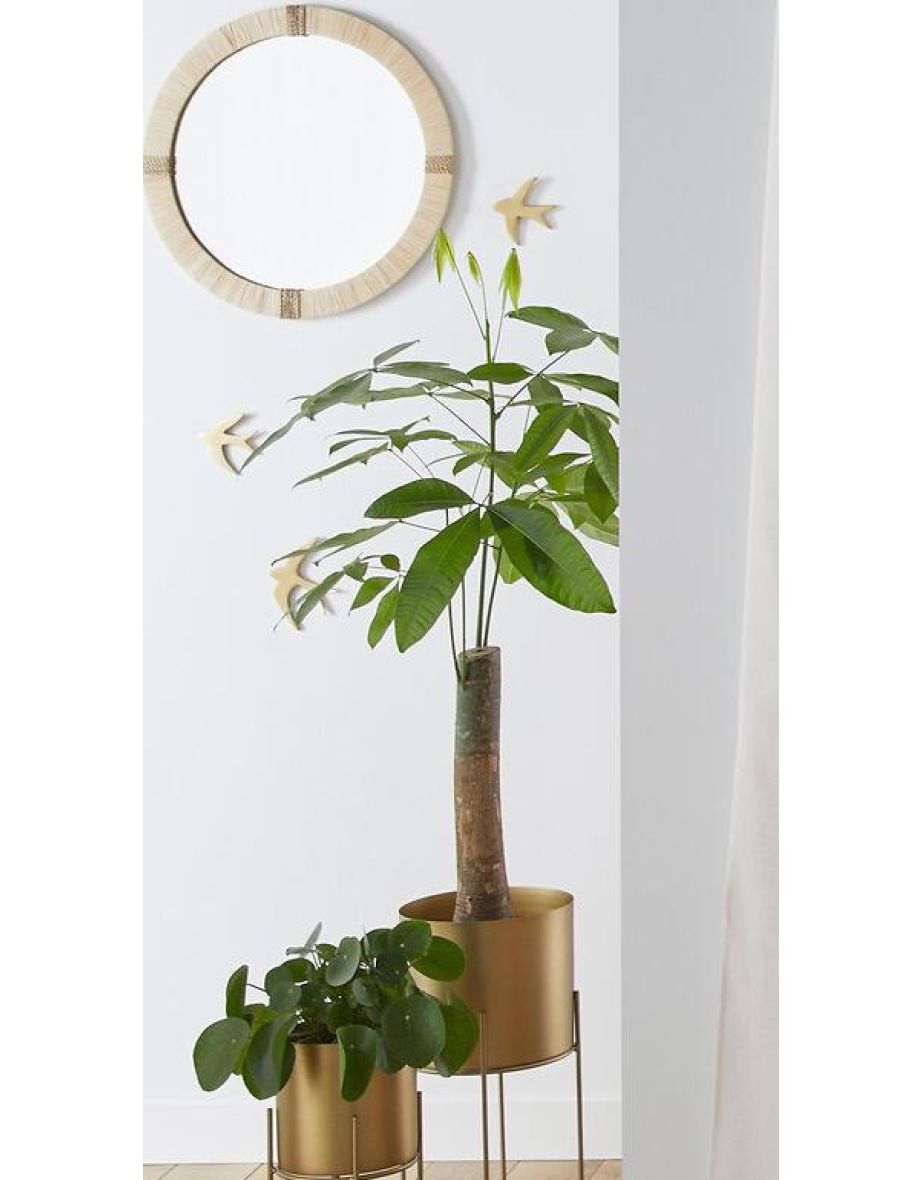 Nyong Plain Linen-Effect Curtain Panel (Tie-Top)