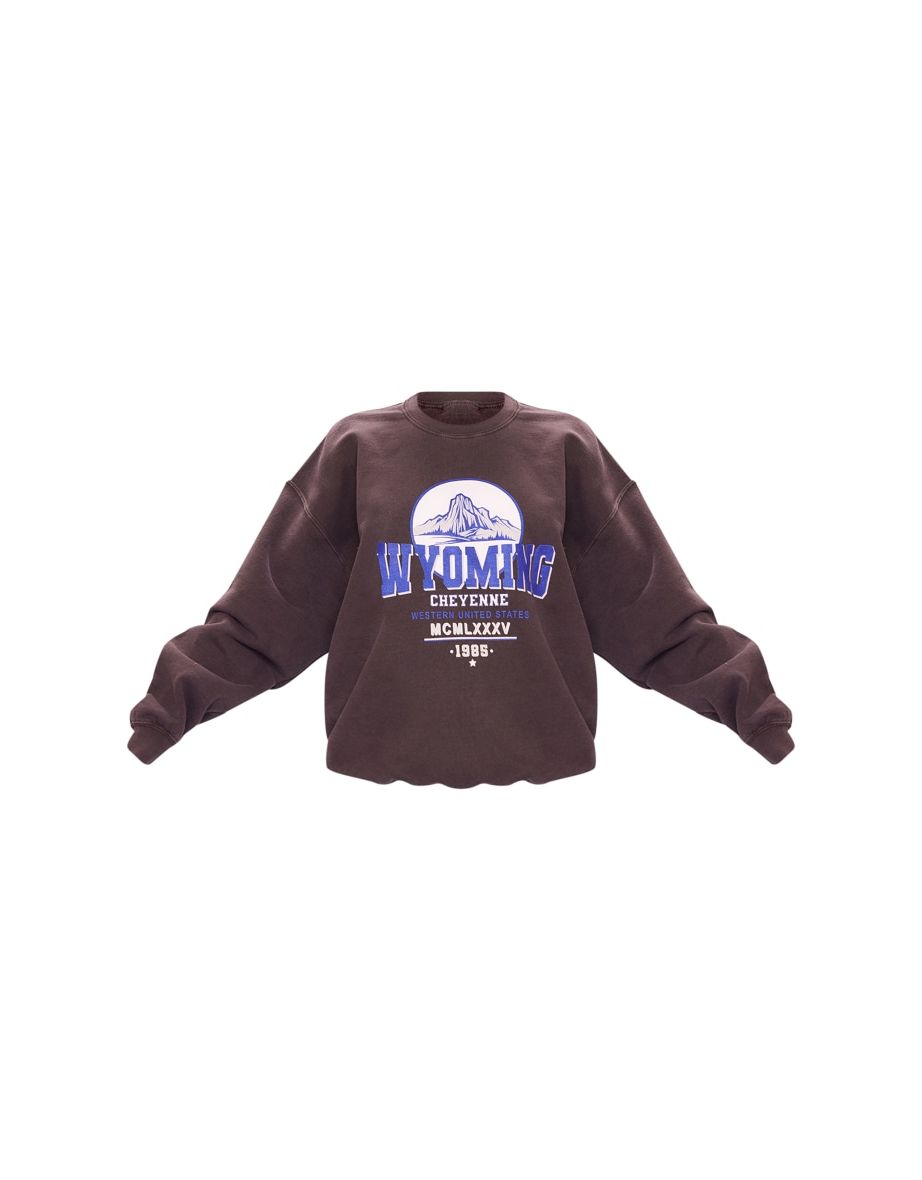 Brown Wyoming Washed Oversized Sweatshirt - 4