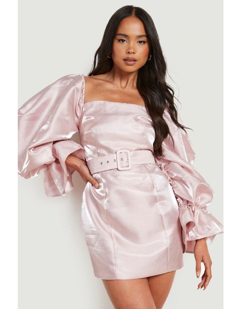 Petite Extreme Volume Sleeve Belted Dress - blush - 3