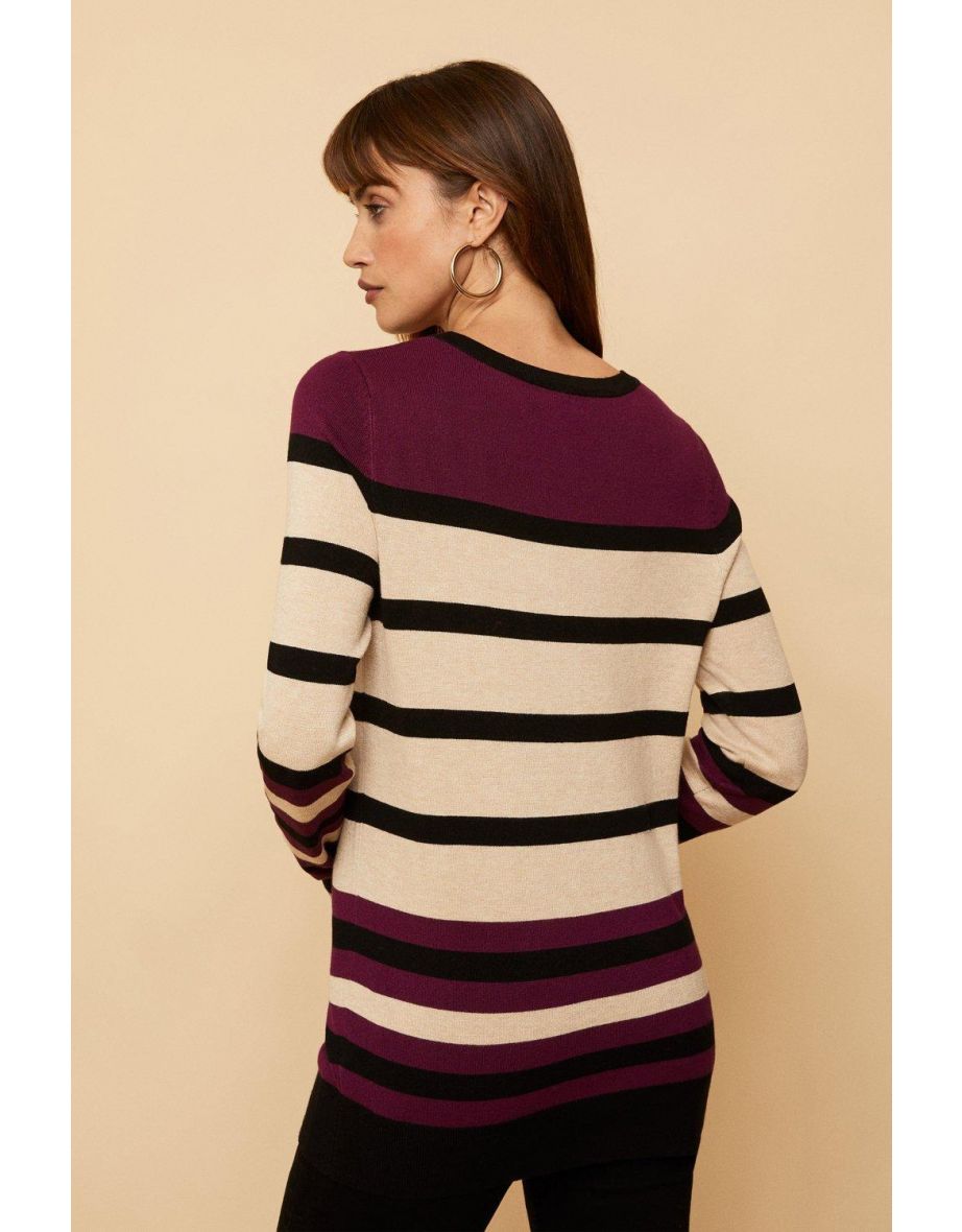 Tall Berry Stripe Flash Jumper - 2