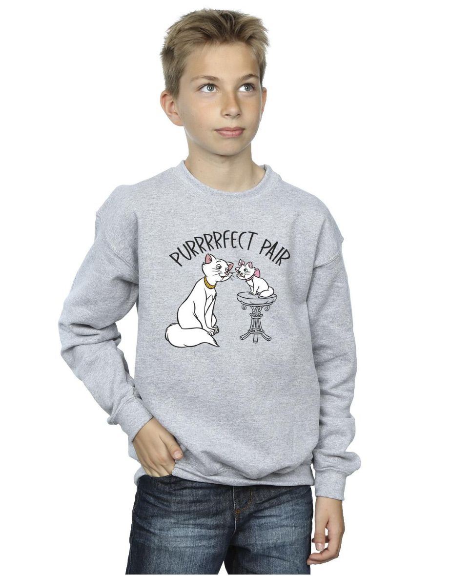 Disney Boys The Aristocats Purrfect Pair Sweatshirt - Sports Grey