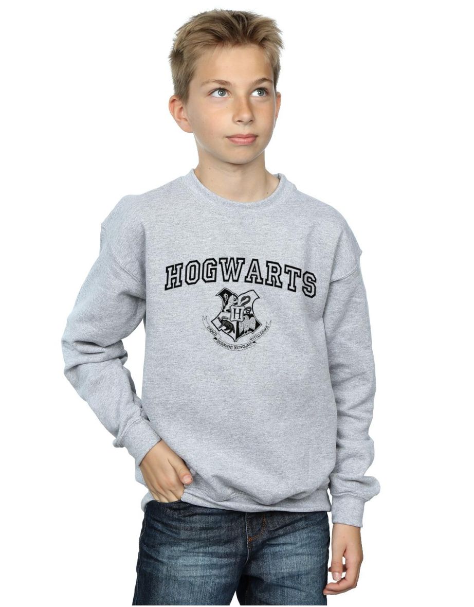 Shop Harry Potter Boys Hogwarts Crest Sweatshirt Sports Grey Online in Oman VogaCloset