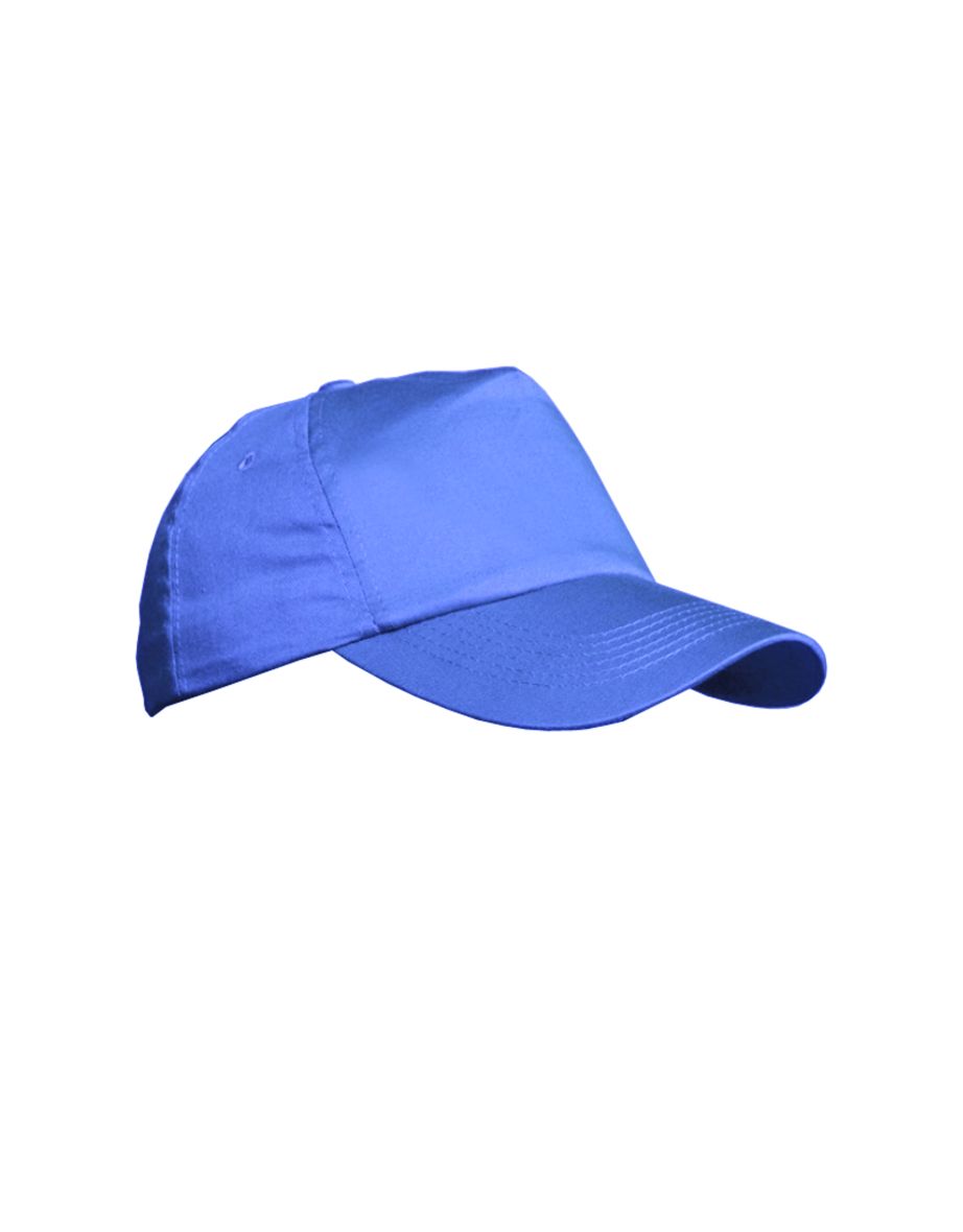 Result Unisex Plain Baseball Cap (Pack of 2) - Royal