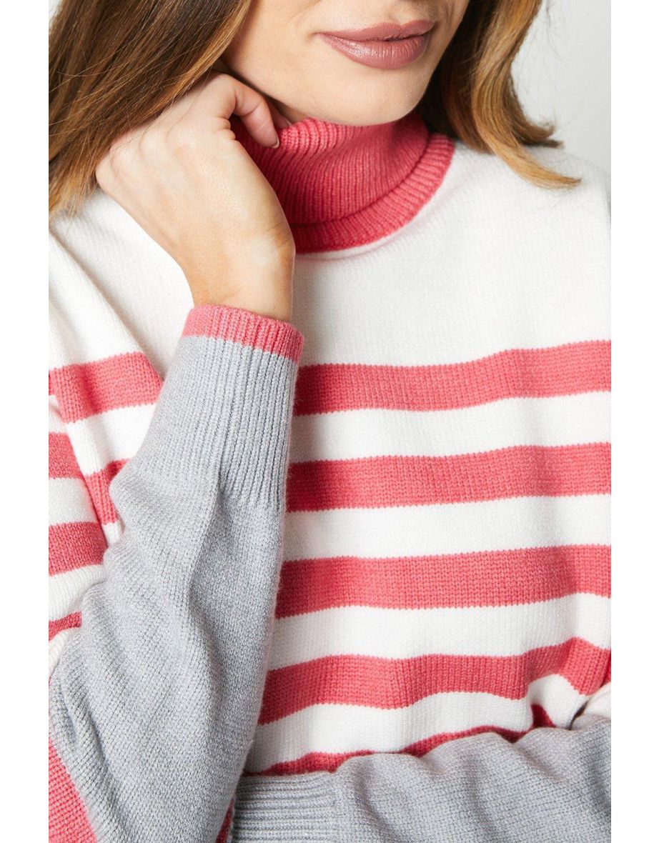 Roll Neck Stripe Jumper - 3