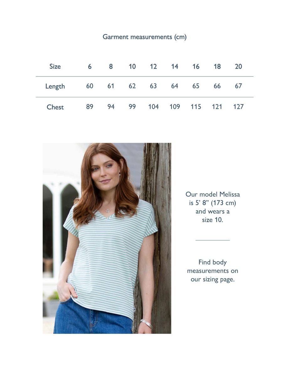 Coombe jersey t-shirt soft aloe stripe - 4