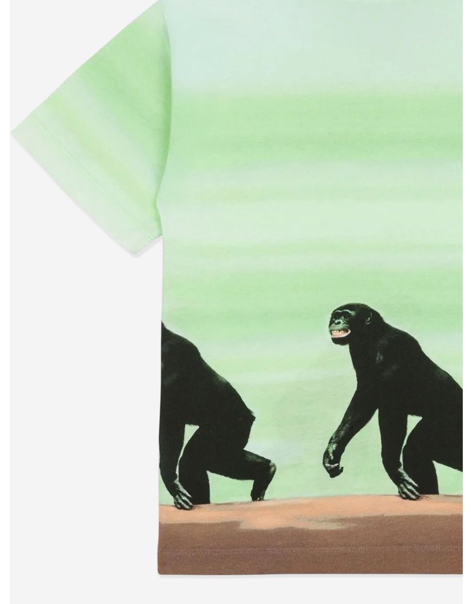 Boys Striped Monkey Print T-Shirt in Green - 3