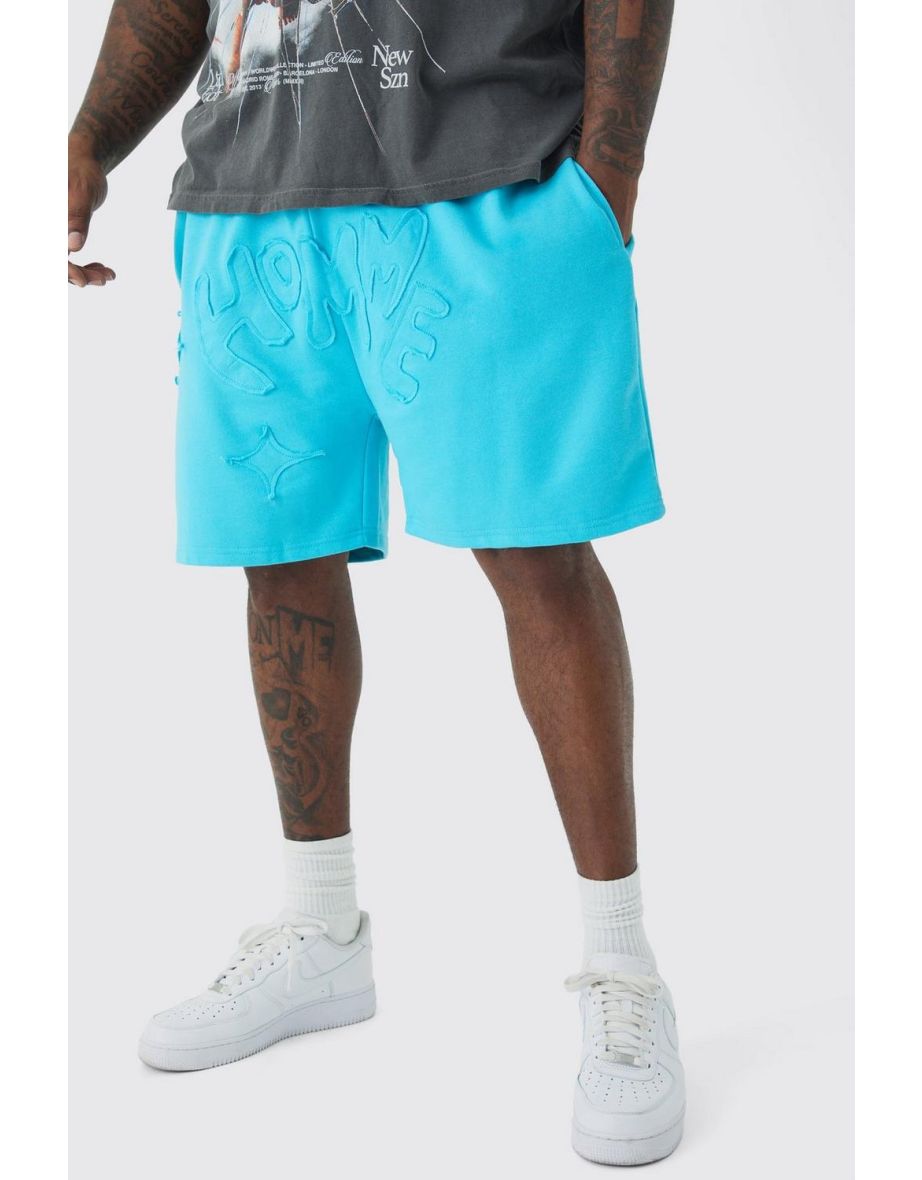 Plus Distressed Applique Loose Short In Blue - blue