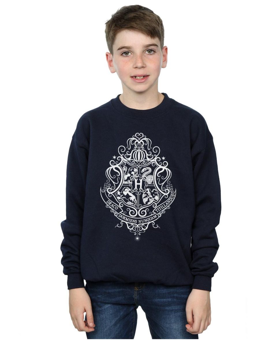 Harry Potter Boys Hogwarts Draco Dormiens Crest Sweatshirt - Navy Blue