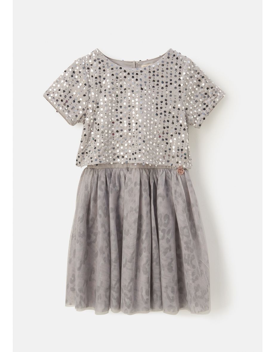 Jasmine Silver Sequin Mesh Dress