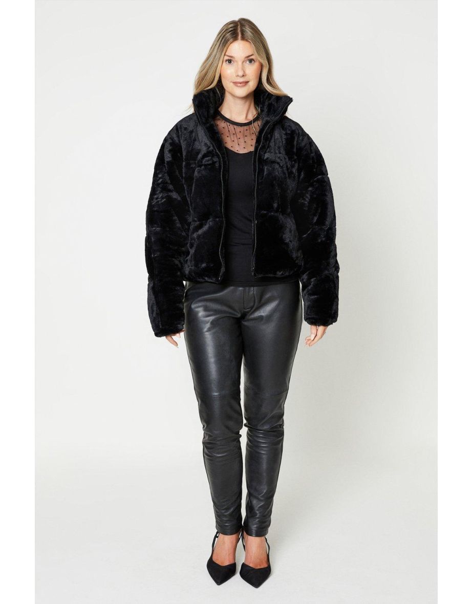 Buy Coats Dorothy Perkins in Lebanon VogaCloset