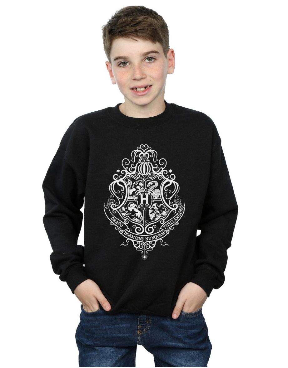 Harry Potter Boys Hogwarts Draco Dormiens Crest Sweatshirt - Black