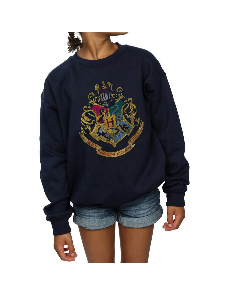 Harry Potter Girls Hogwarts Houses Cotton Sweatshirt - Navy Blue