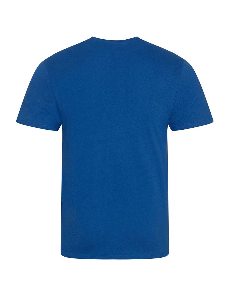 Ecologie Mens Organic Cascades T-Shirt - Royal Blue - 1