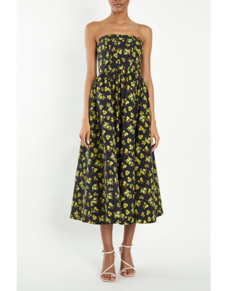 Coast on sale henrietta dress