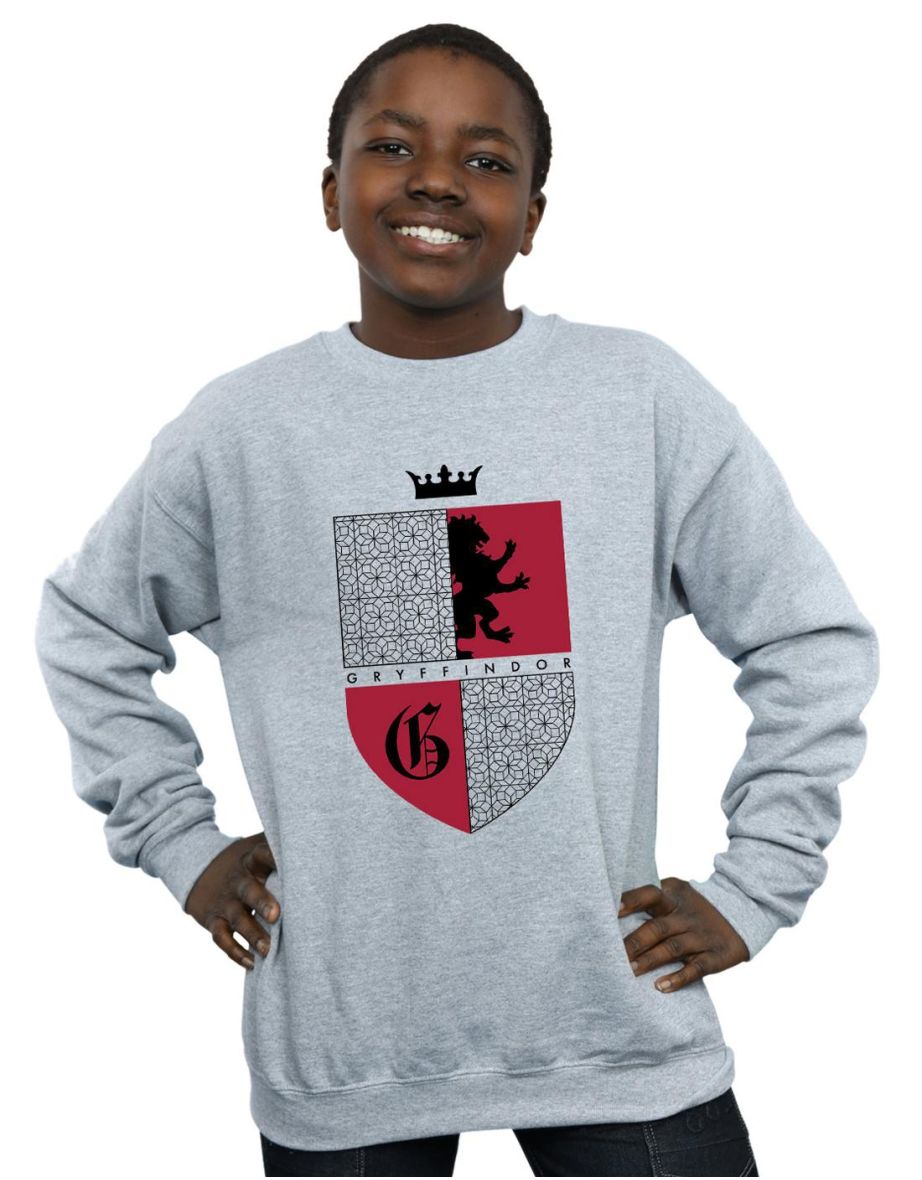Harry Potter Boys Gryffindor Shield Sweatshirt - Sports Grey