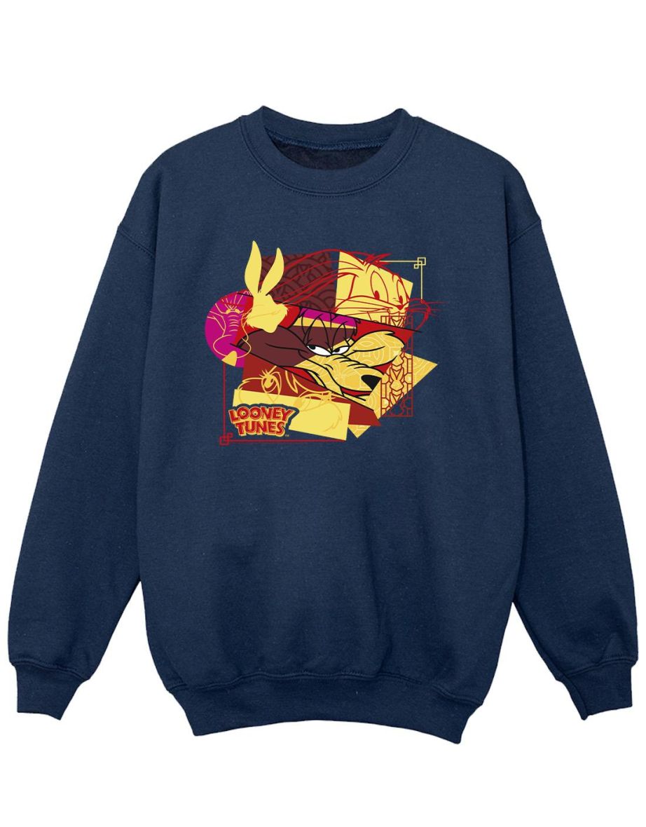 wile e coyote sweatshirt