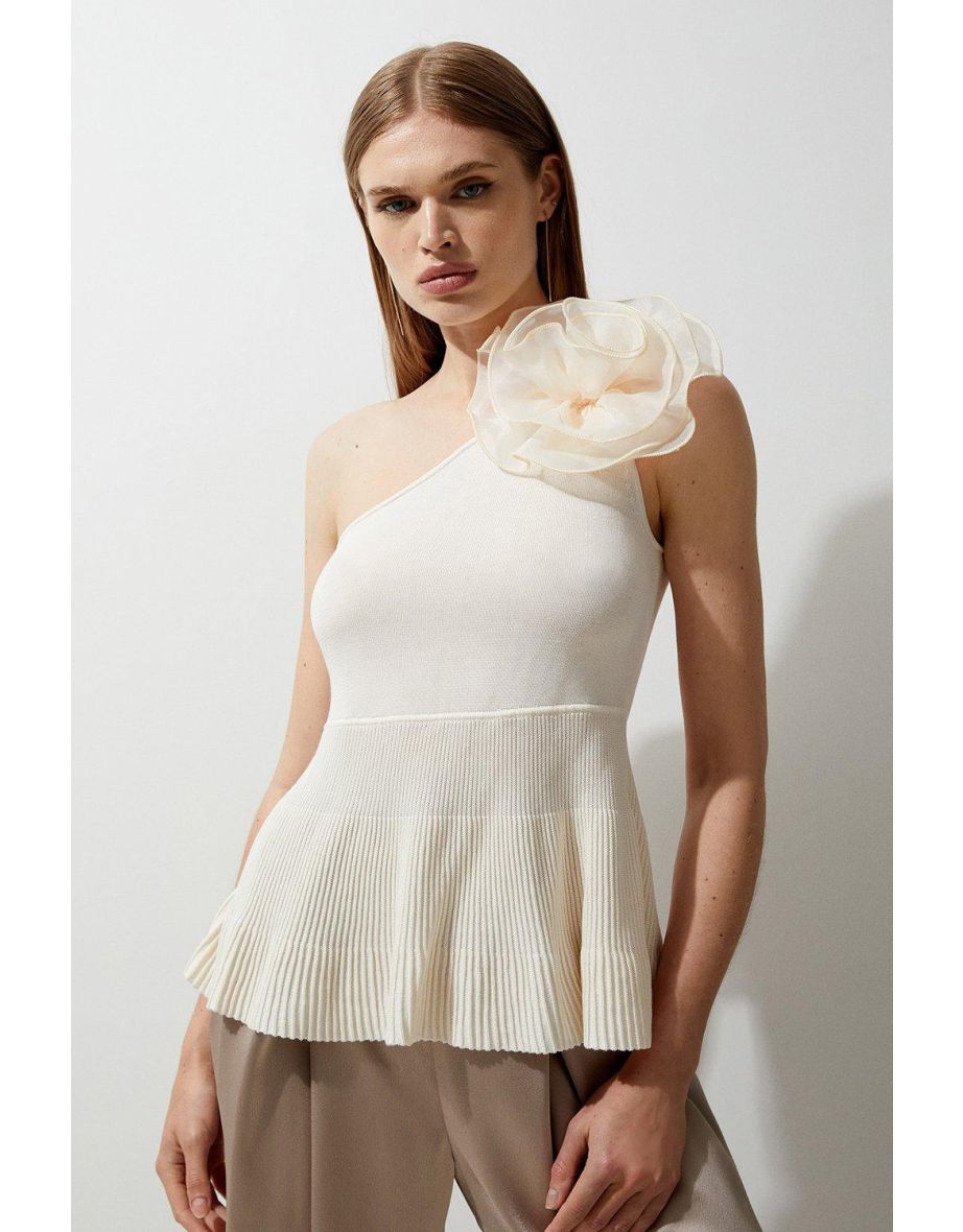 Viscose Blend Knit Asymmetric Peplum Top
