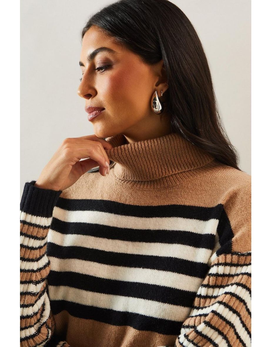 Striped Roll Neck Slouchy Jumper - 3