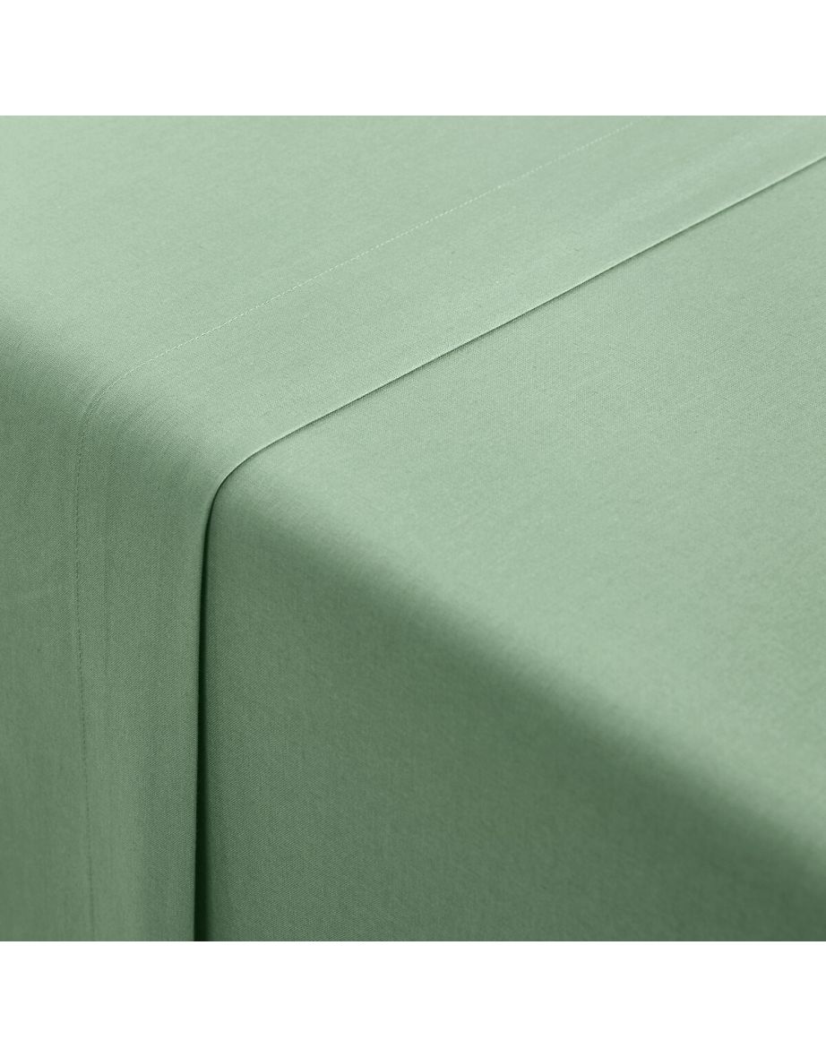 Scenario Organic Cotton Flat Sheet - 2