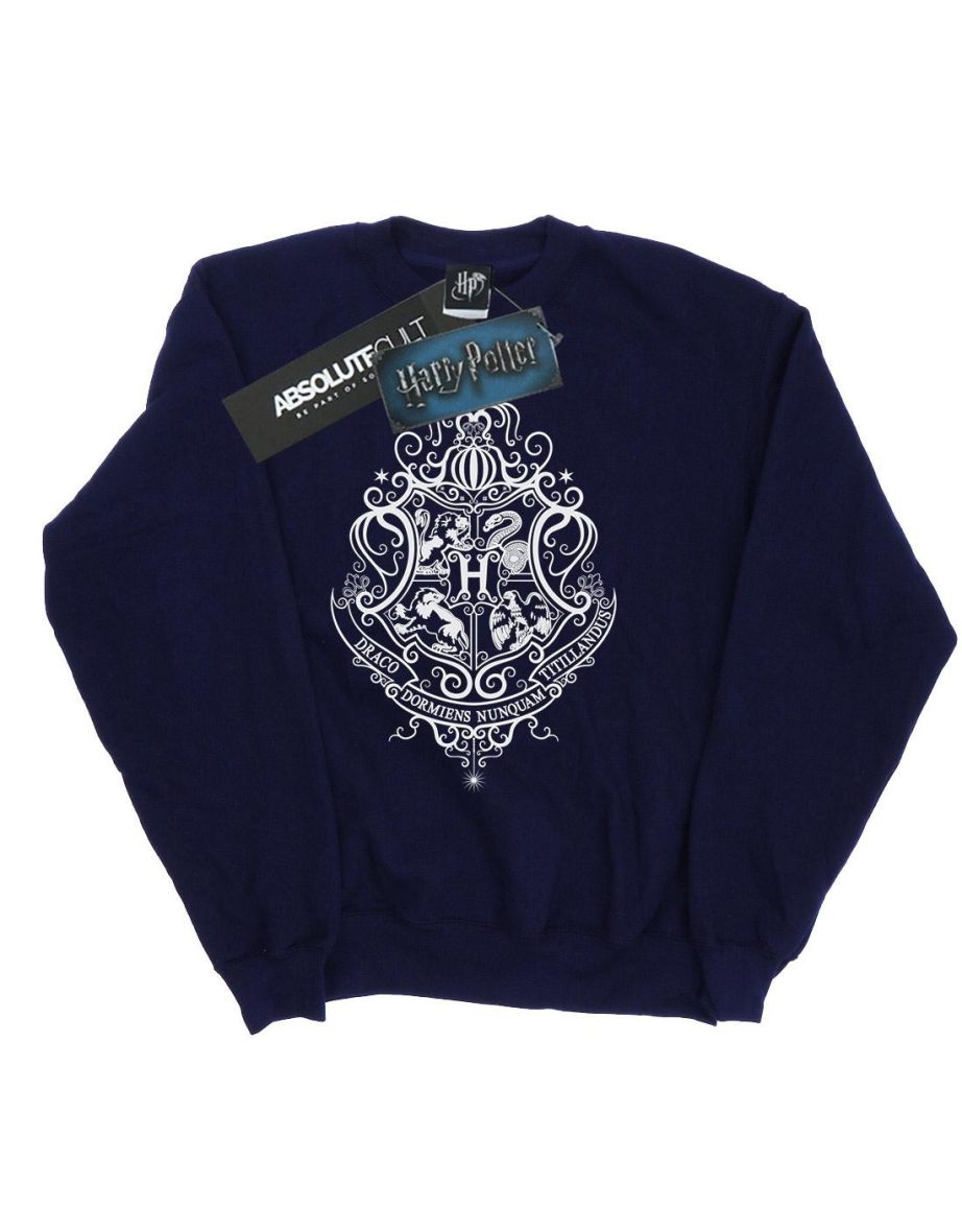 Harry Potter Boys Hogwarts Draco Dormiens Crest Sweatshirt - Navy Blue - 3