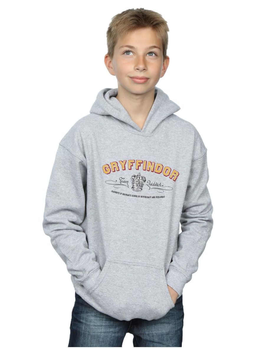 Shop Harry Potter Boys Gryffindor Team Quidditch Hoodie Sports Grey Online in Bahrain VogaCloset