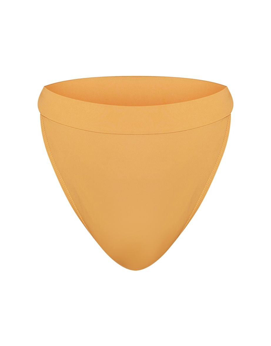 Plus Camel High Leg Bikini Bottoms