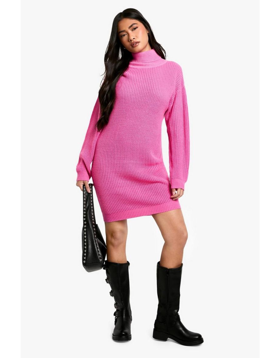Basic Roll Neck Jumper Dress